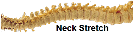 Neck Stretch